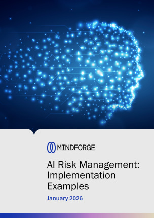 AI Risk Management: Implementation Examples