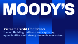 Presentation - Vietnamese Banks 2026