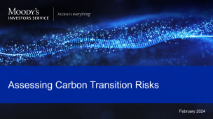 Assessing Carbon Transition Risks