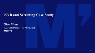 KYB and Screening Case Study
