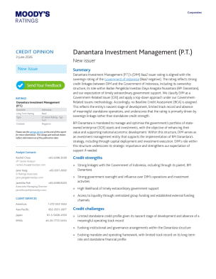 Credit Opinion: Danantara Investment Management (P.T.) - New Issuer, 3 June 2026