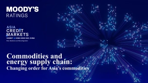 Presentation - Commodities and energy supply chain