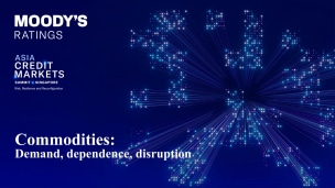 Presentation - Commodities
