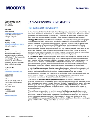 JAPANECONOMIC RISK MATRIX