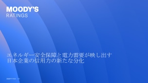 エネルギー安全保障と電力需要が映し出す日本企業の信用力の新たな分化