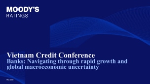 Presentation - Vietnamese Banks