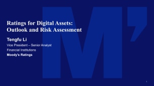 Ratings for Digital Assets: Outlook and Risk Assessment