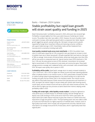 Banks – Vietnam: 2024 Update - Stable profitability but rapid loan growth will strain asset quality and funding in 2025, 6 Mar 2025