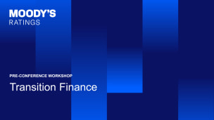Transition Finance workshop