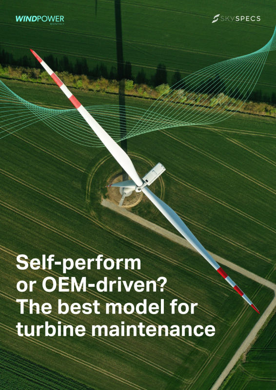 Self perform or OEM-driven? The best model for turbine maintenance