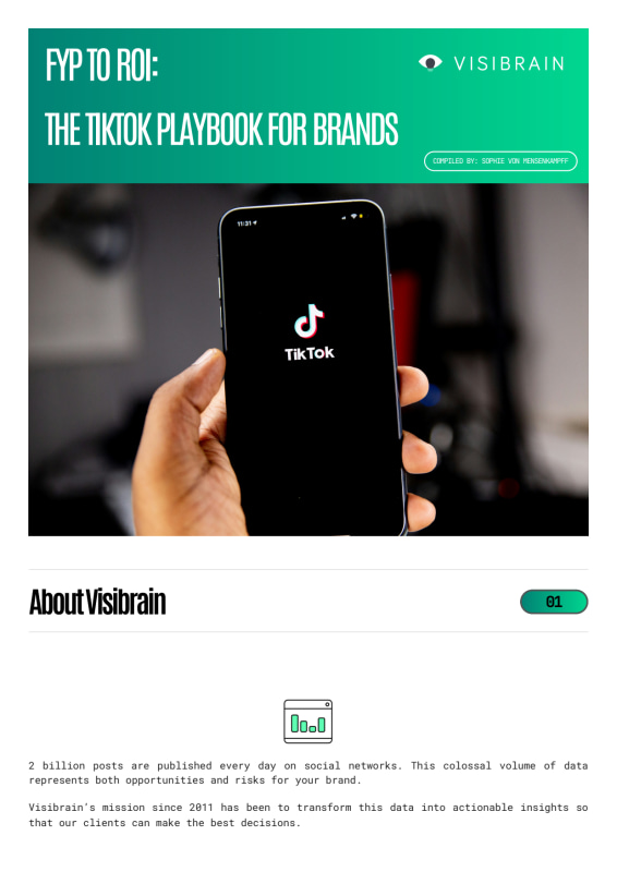 The TikTok playbook for brands