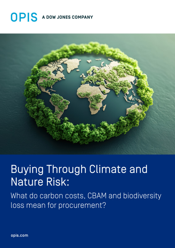 Buying Through Climate and Nature Risk