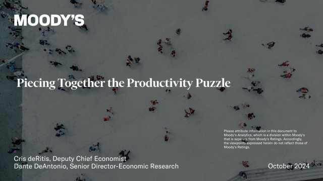 Piecing Together the Productivity Puzzle: Chicago