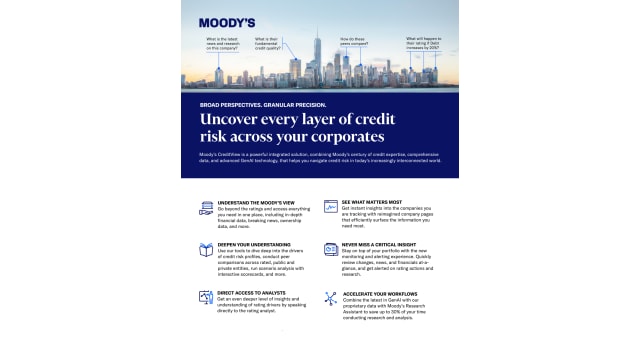 Corporate Analysis Brochure