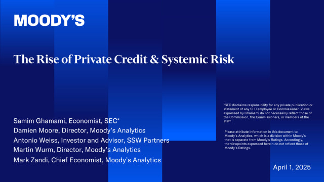Sizing Up Systemic Risk Presentation Slides