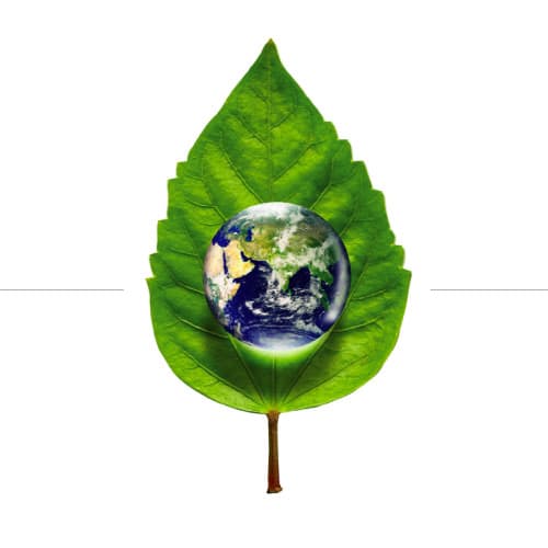 Can place branding save the world?