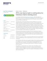 [Islamic banks – Indonesia] BTN's new Islamic bank is credit positive for Indonesia's Islamic banking sector