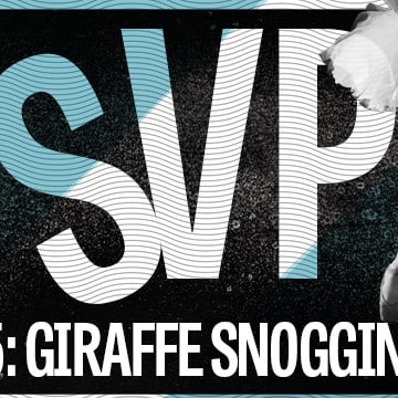 RSVP S2 Ep 2: Giraffe Snogging