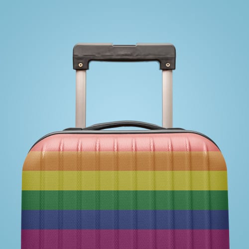 How many travel programmes support LGBTQIA+ delegates?