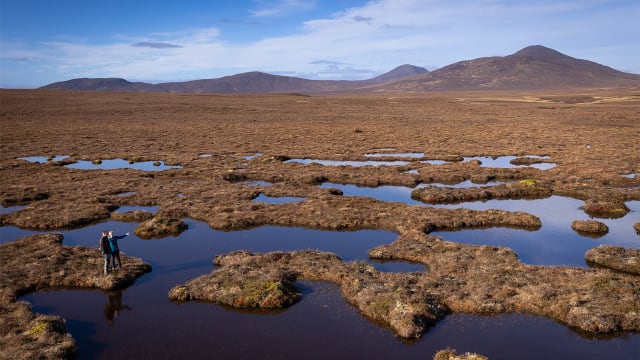 EICC partners with RSPB Scotland to mitigate carbon & restore nature