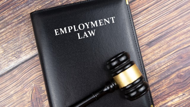 The Employment Rights Bill- everything you need to know