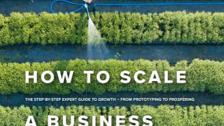 Intelligence report: How to scale a business