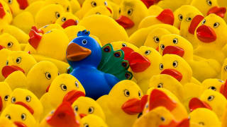 Nine cities and regions successfully resisting homogenisation