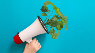 Marketing for climate action: five powerful tactics to reduce tourism’s emissions