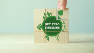 How your place brand can contribute to net-zero emissions targets