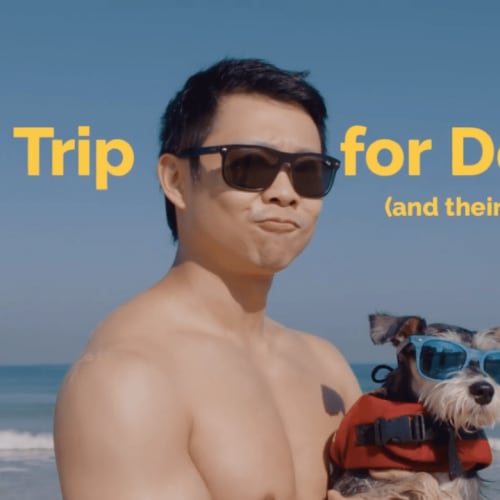 9 Weird and Wonderful Place Marketing Campaigns