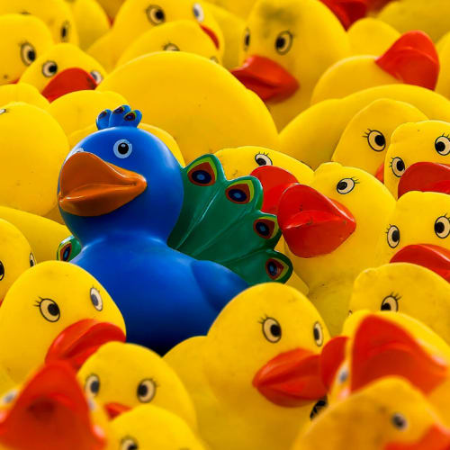 Nine cities and regions successfully resisting homogenisation