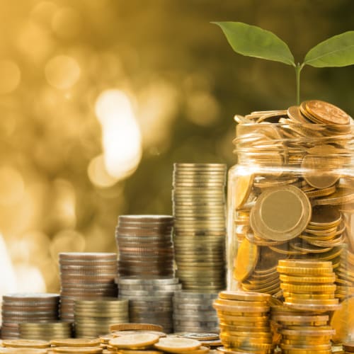 Who pays the bill? Getting visitor levies right for places and people
