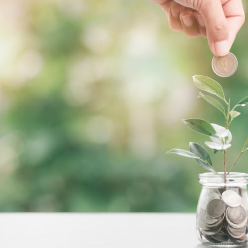 Beyond the say–do gap: Why sustainability is a business imperative for destinations