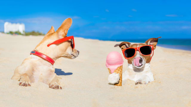 Seven place brand campaigns you can’t help but envy