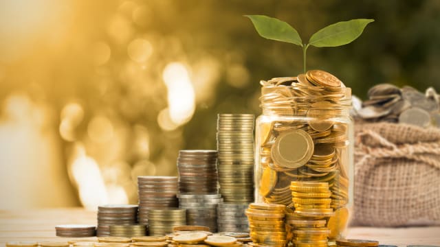 Who pays the bill? Getting visitor levies right for places and people