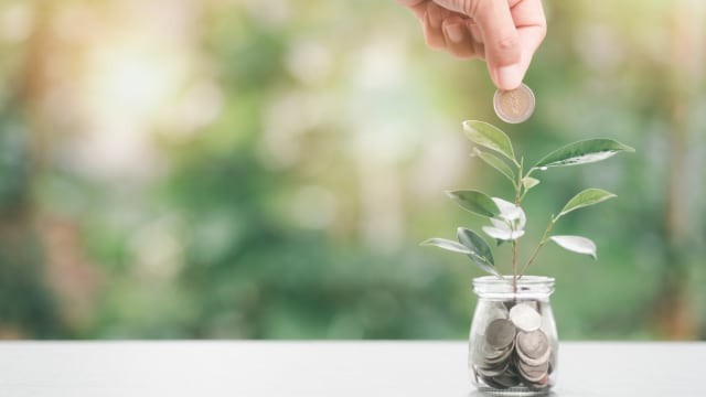 Beyond the say–do gap: Why sustainability is a business imperative for destinations