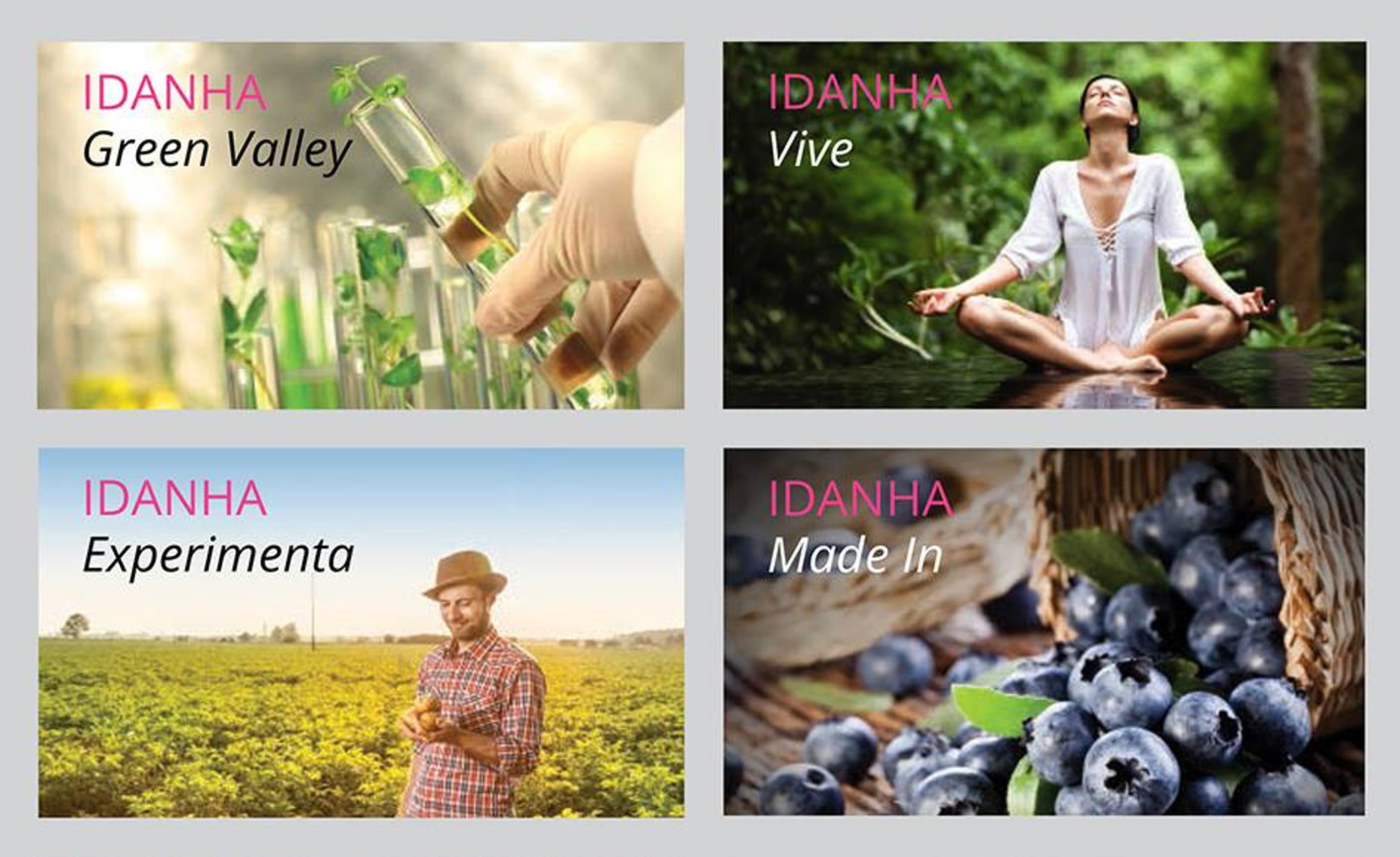A grid with four pictures showing life in Idanha-a-Nova. The top left says Idanha Green Valley over a photo of test tubes with leafy plants in them. The top right image says Idanha Vive, over a picture of a woman meditating in a quiet forest. The bottom left says Idanha Experimenta, with a picture of a farmer holding some potatoes in front of a field. And the bottom right image says Idanha Made In, over a photo of some berries spilling out of a wicker basket.