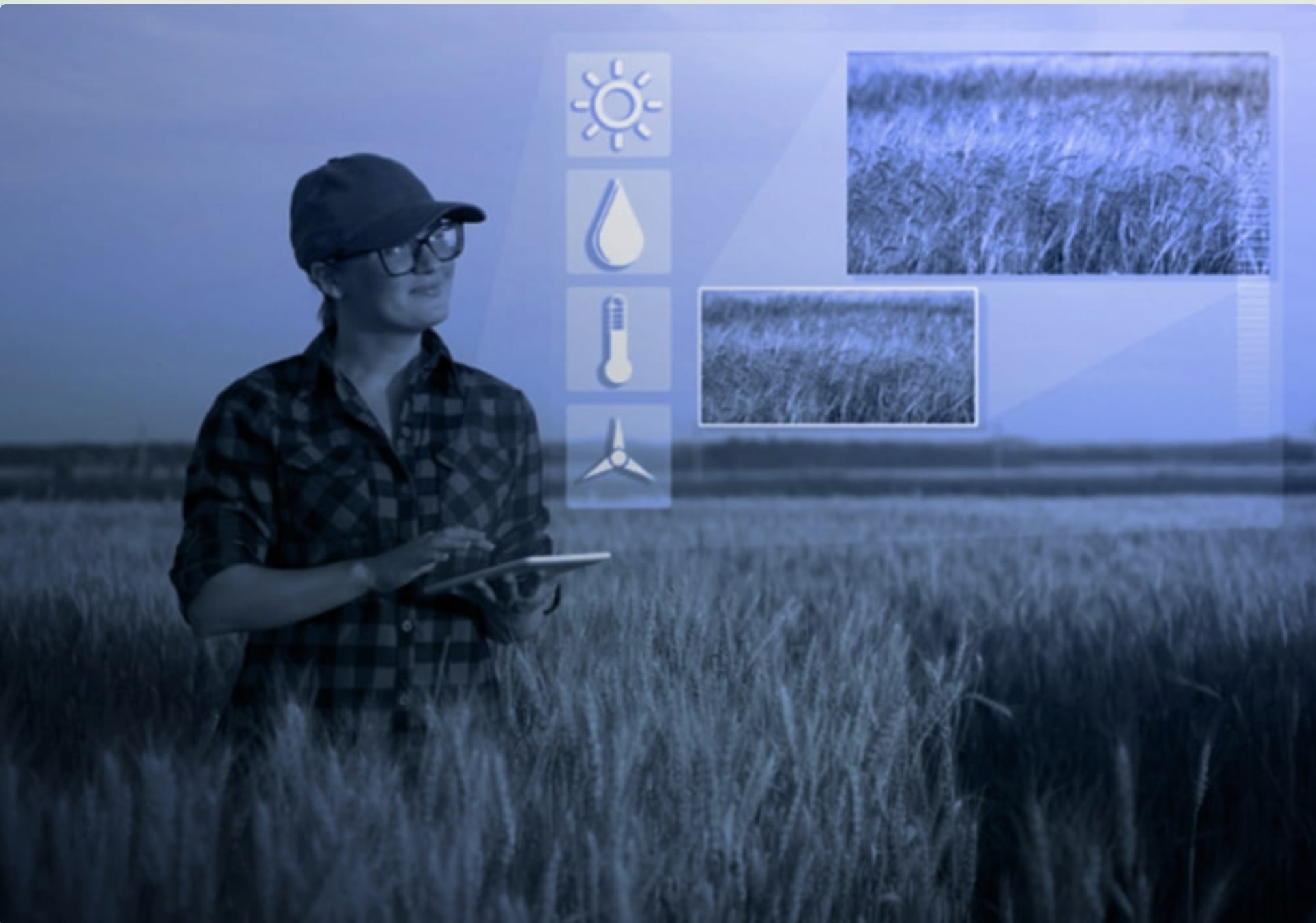 A woman wearing a checkered shirt, a cap and glasses, standing on a smart farm site, using Area X.O, on a smart tablet. 4 icons appear next to her, of the sun, a water droplet, a thermometer, and a wind turbine.