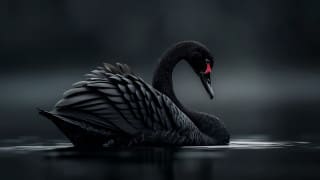 #Irisscon: Prepare for Worst 'Black Swan' Event With Policies and Procedures