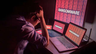 Victims of Cyber Extortion and Ransomware Increase in 2024