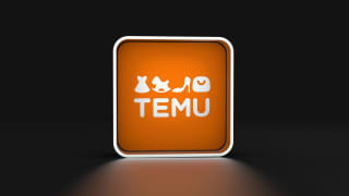 Temu Dismisses Claims over 87 Million Records Breach